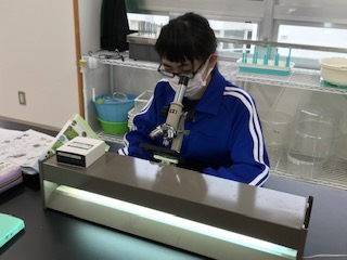 再開２