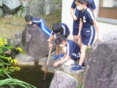 ikenootamajyakushi