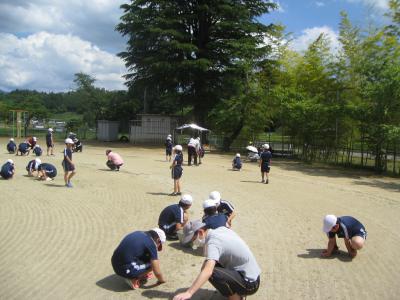 kouteiseichi