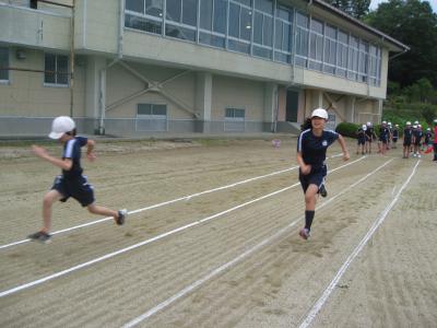 tairyokutesutojisshi1