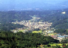 峠の森より望むの写真
