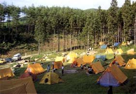 峠の森キャンプ風景の写真