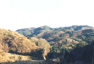 太郎坊山の写真