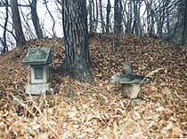 羽山神社の写真