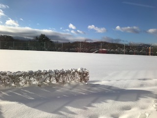 雪２