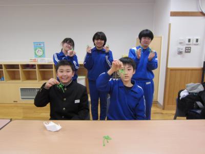 リボン６