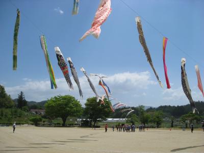 koinobori3