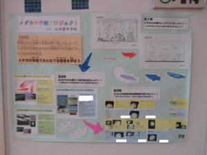 メダカの赤ちゃん１