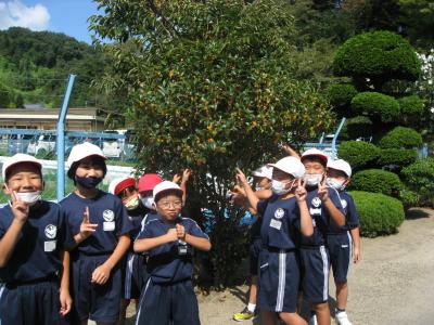 R３学校便り第２１号（秋の訪れ）