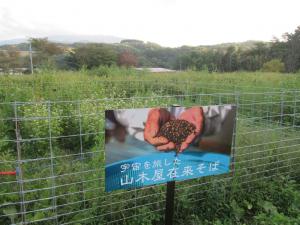 宇宙そば看板３