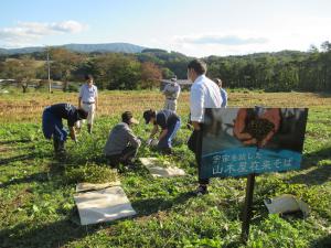 宇宙そば刈り取り１
