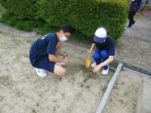 校庭の除草２