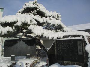 雪１