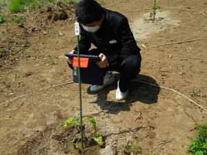 水やり５