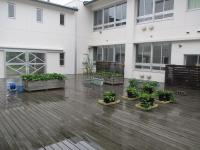 雨