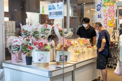 販売品