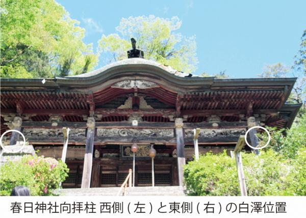春日神社の柱に彫られた白澤