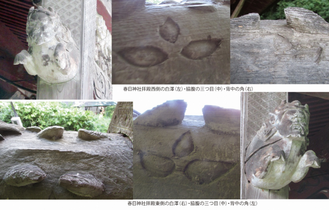 白澤の詳細図