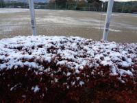 雪