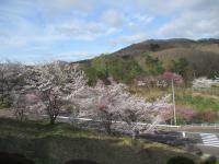 山木屋１