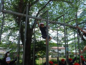 学校