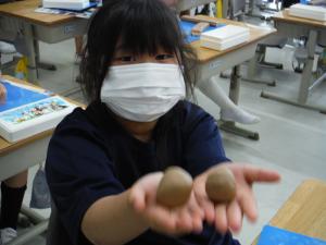 学校