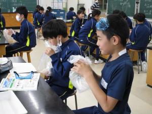 学校