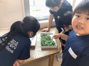 授業
