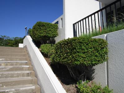 学校