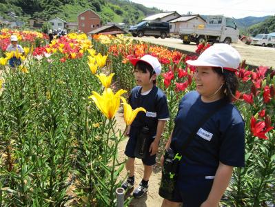 学校