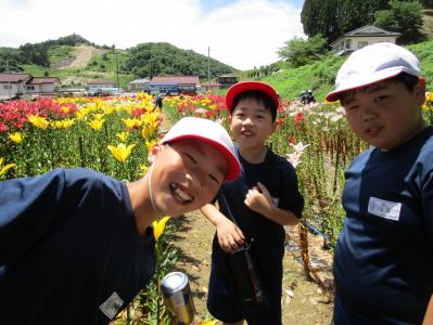 学校
