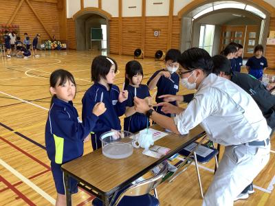 学校