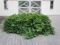 山木屋