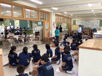 全体の様子