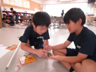学校
