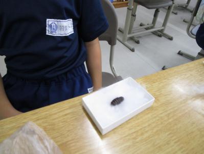 学校