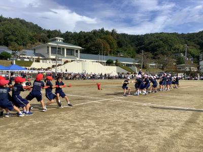 学校
