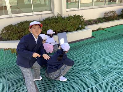 反射した光の温度を測る３年生