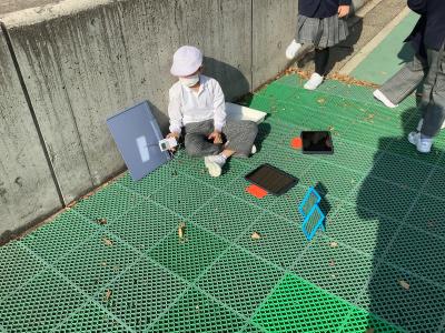 反射した光の温度を測る３年生