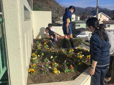 花壇を整備する美化委員会