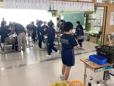 森の案内人に木工を教わる5年生