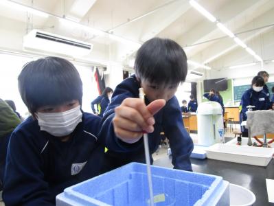 学校