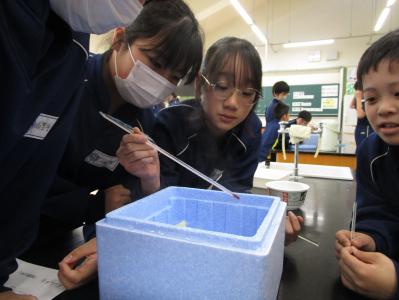 学校