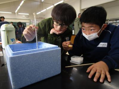 学校
