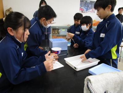 学校