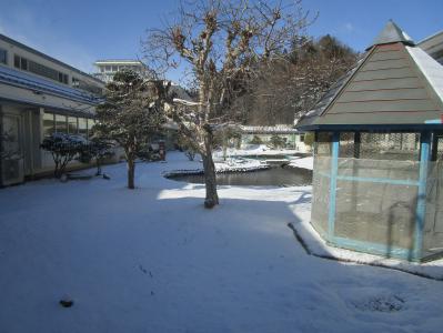 学校