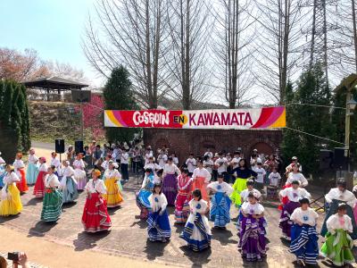 春コスキンのようす