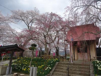 開花状況