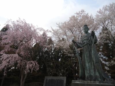 開花状況