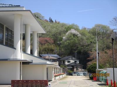 学校